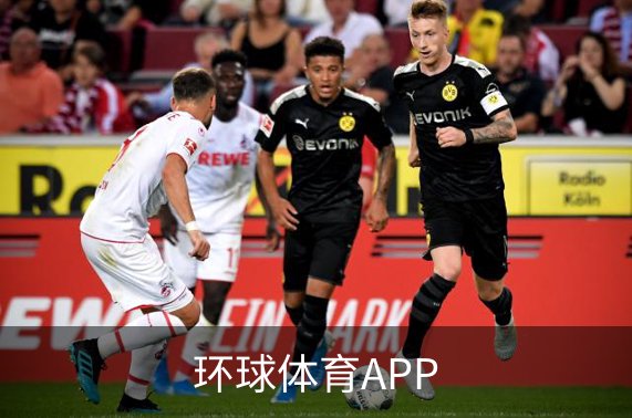 环球体育APP介绍